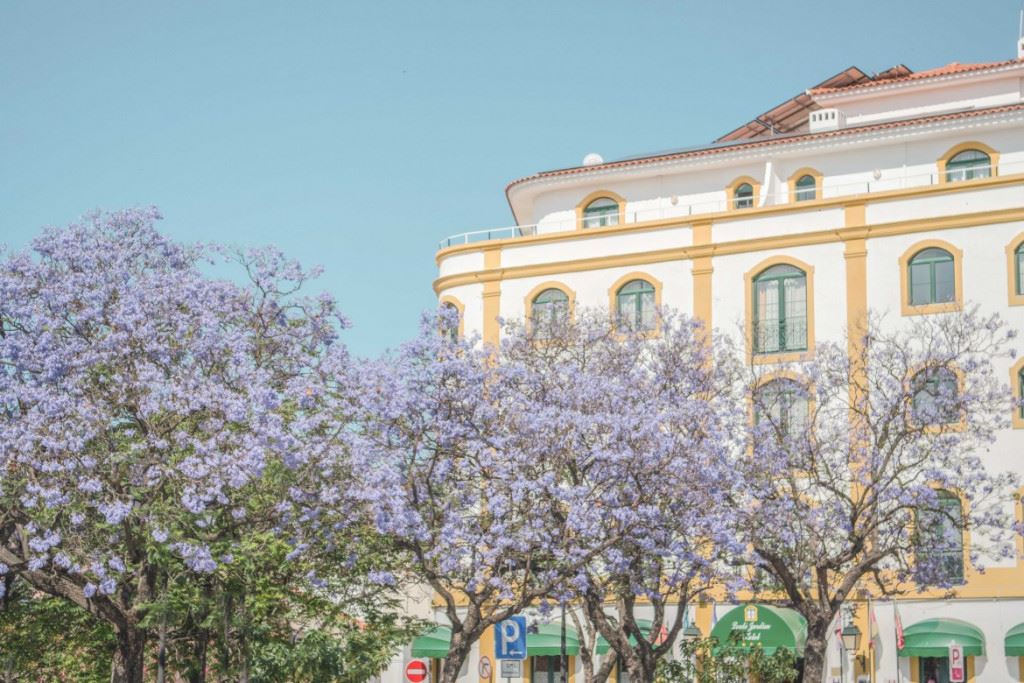 Loulé Jardim Hotel