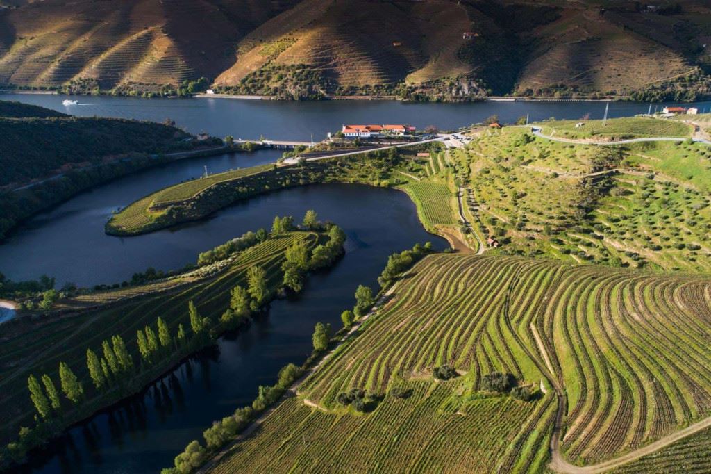 Vila Galé Douro Vineyards