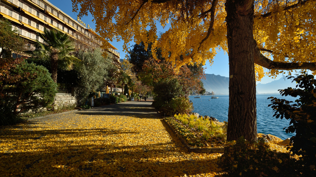 Royal Plaza Montreux