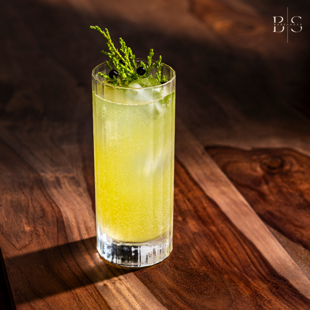 Barsander – Bars à Cocktails Ephémères