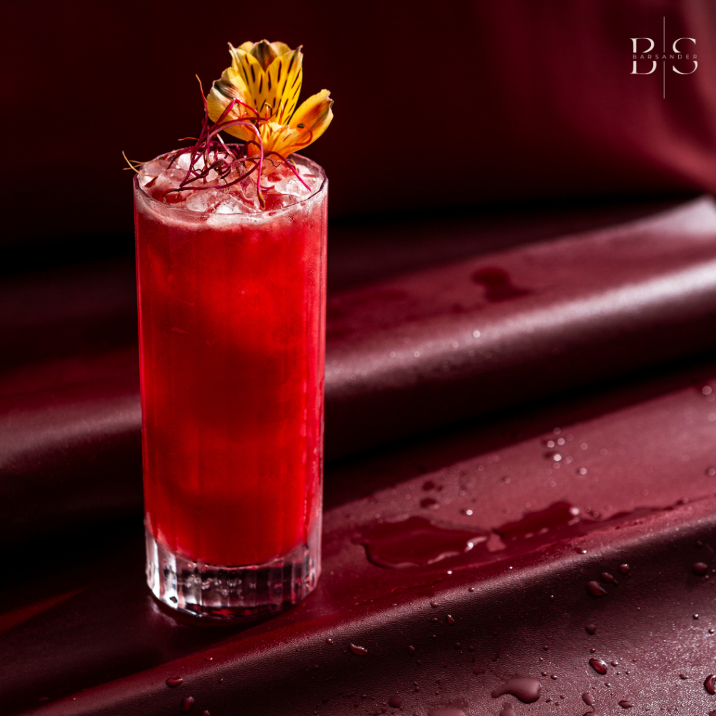 Barsander – Bars à Cocktails Ephémères