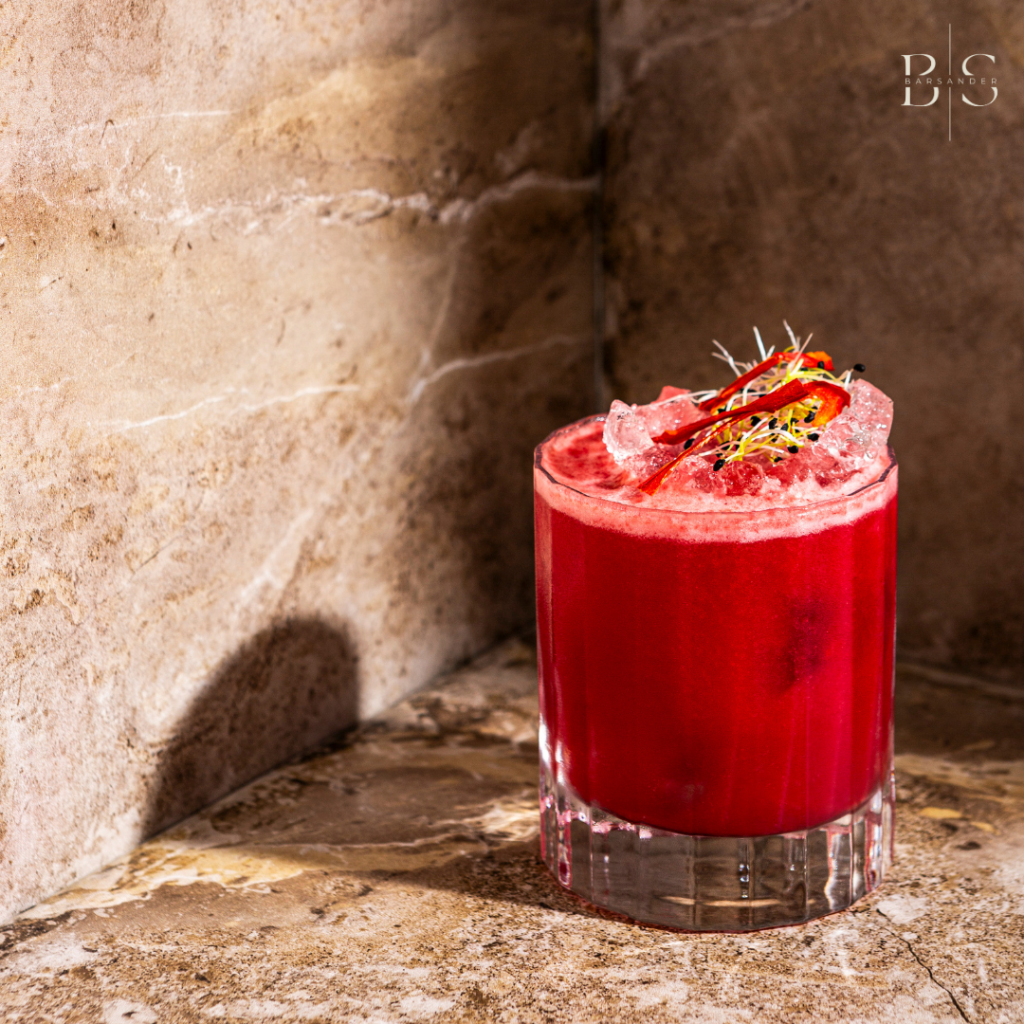 Barsander – Bars à Cocktails Ephémères