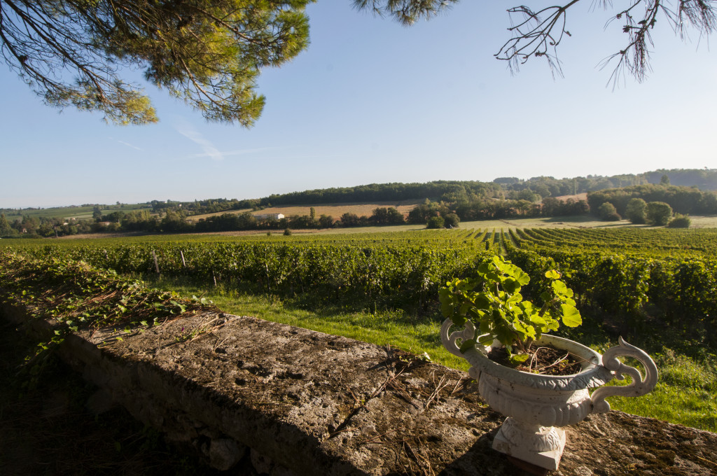 Château Hostens-Picant
