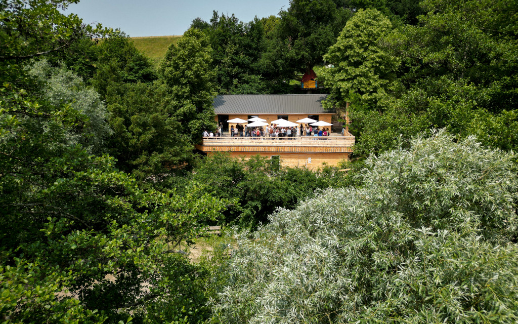 Bois des Lutins Business