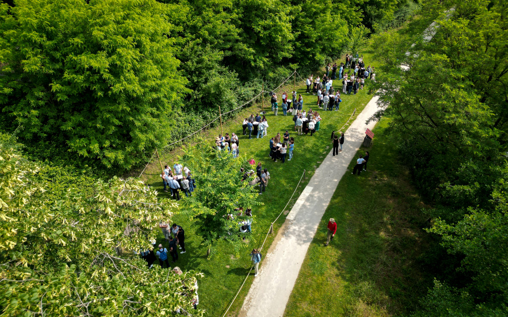 Bois des Lutins Business