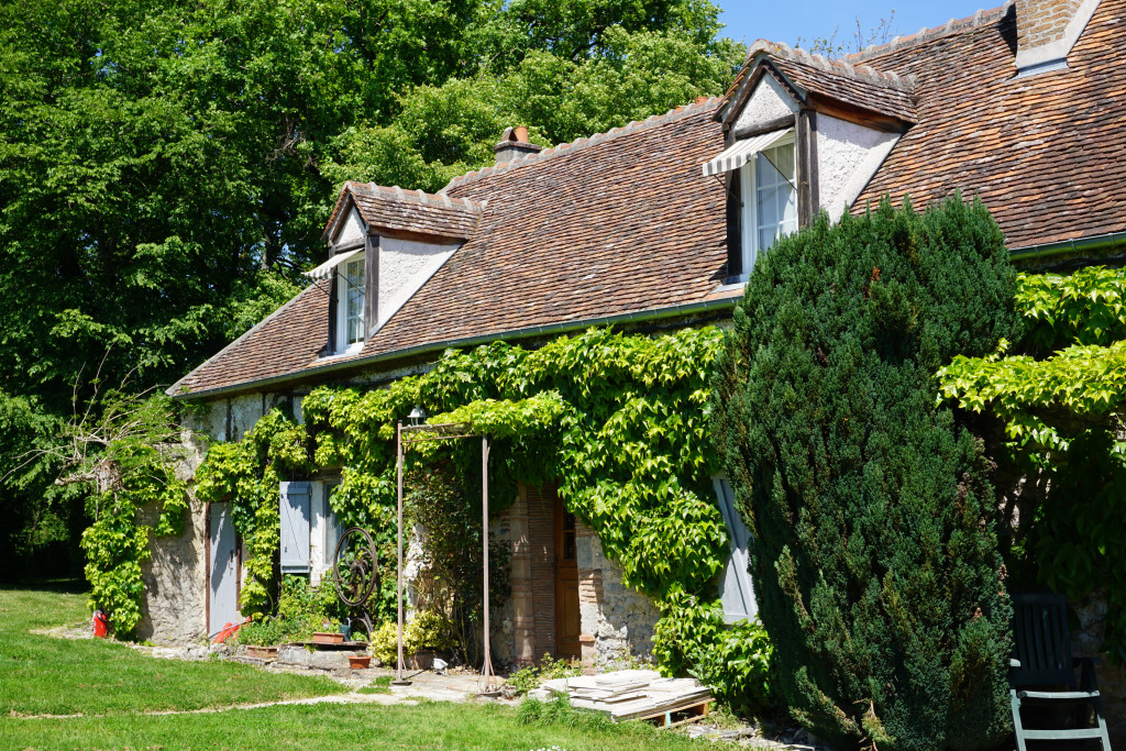 Rendez-vous en Terre Animale