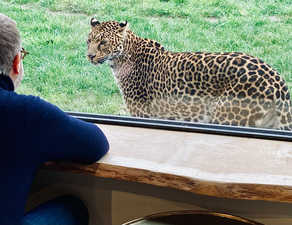 Rendez-vous en Terre Animale