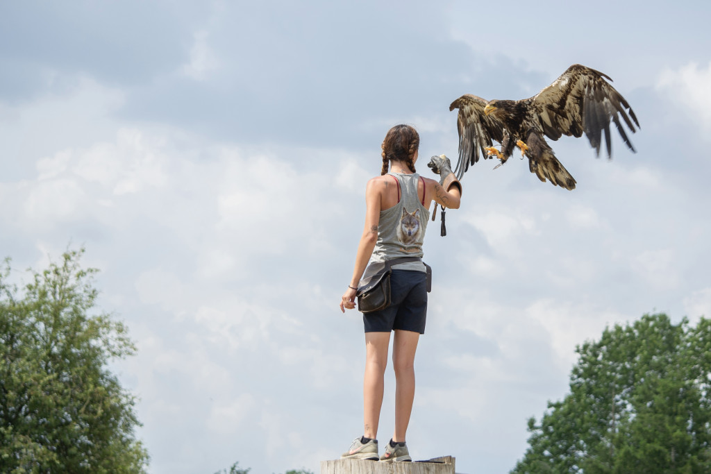 Rendez-vous en Terre Animale