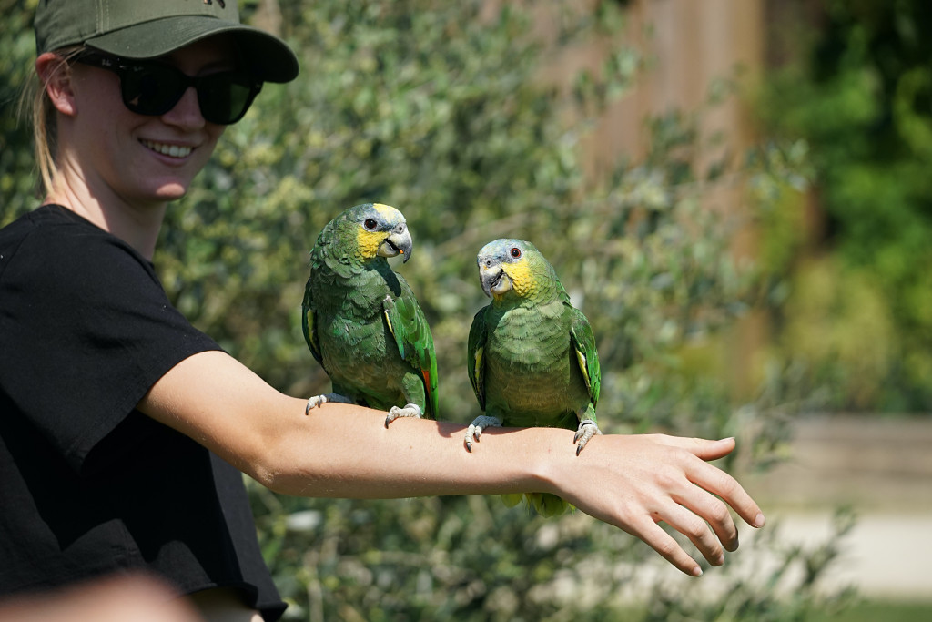 Rendez-vous en Terre Animale