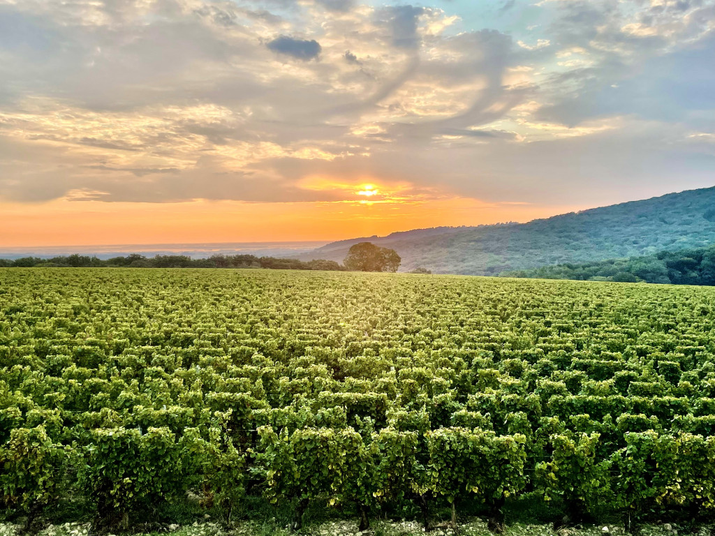 Domaine Joseph Lafarge