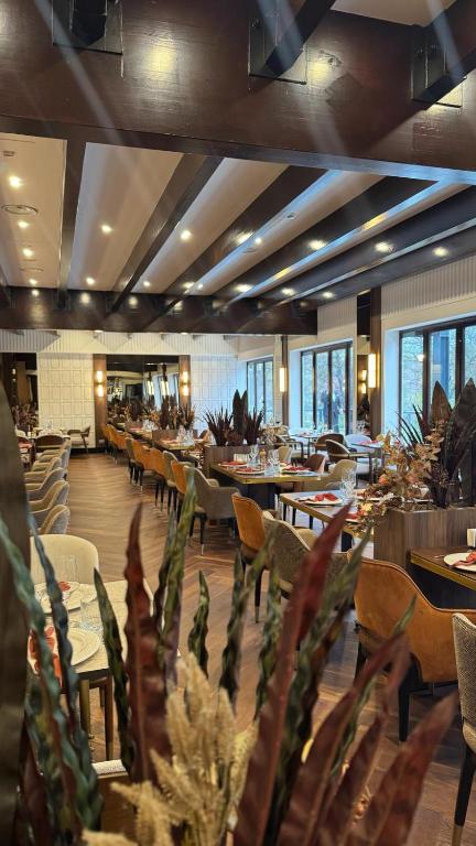 Hotel Rivo Timisoara
