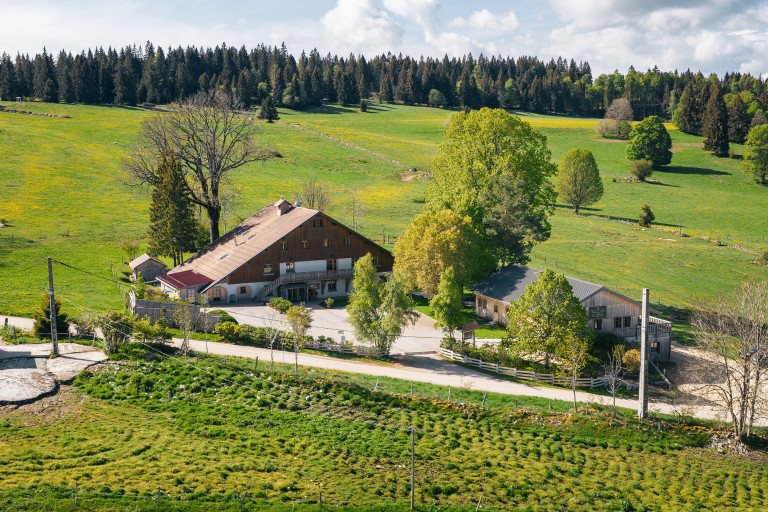 Le Tillau